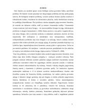 Senų žmonių atskirties ypatumai 4 puslapis