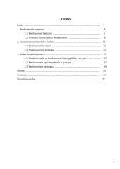 Sisteminis požiūris socialiniame darbe su bendruomene 2 puslapis