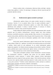 Sisteminis požiūris socialiniame darbe su bendruomene 17 puslapis