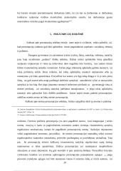 Prezumpcijos civilinėje teisėje 20 puslapis