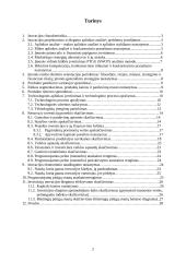 Projektas: diamonio fosfato gamyba 2 puslapis