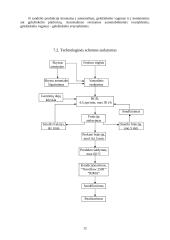 Projektas: diamonio fosfato gamyba 12 puslapis