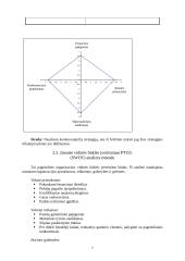 Projektas: diamonio fosfato gamyba 7 puslapis
