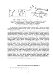 Spektroskopija 13 puslapis