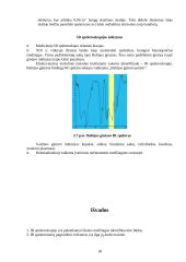 Spektroskopija 16 puslapis