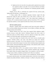 Rietavo dvaras 10 puslapis