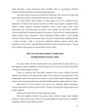 Rietavo dvaras 13 puslapis