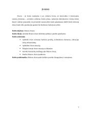 Rietavo dvaras 2 puslapis