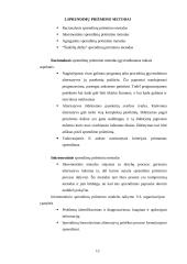 Sprendimai ir jų rūšys. Vadovavimo principai 13 puslapis