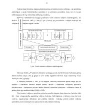 Sprendimų priėmimas grupėje: UAB "Klaipėdos konteinerių terminalas" 12 puslapis