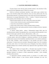 Sprendimų priėmimas grupėje: UAB "Klaipėdos konteinerių terminalas" 8 puslapis