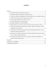 Rungimosi principas: teoriniai ir praktiniai taikymo aspektai 2 puslapis