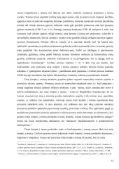 Rungimosi principas: teoriniai ir praktiniai taikymo aspektai 12 puslapis