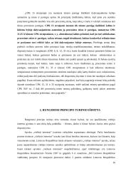 Rungimosi principas: teoriniai ir praktiniai taikymo aspektai 16 puslapis