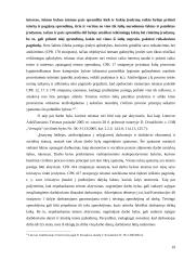 Rungimosi principas: teoriniai ir praktiniai taikymo aspektai 19 puslapis