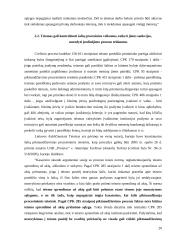 Rungimosi principas: teoriniai ir praktiniai taikymo aspektai 20 puslapis