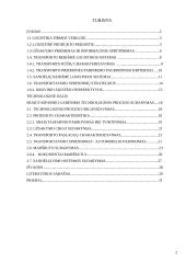 Sraigtasparnio gabenimo technologinio proceso sudarymas 2 puslapis