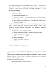 Sraigtasparnio gabenimo technologinio proceso sudarymas 11 puslapis