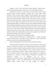 Sraigtasparnio gabenimo technologinio proceso sudarymas 3 puslapis