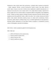 Sraigtasparnio gabenimo technologinio proceso sudarymas 4 puslapis