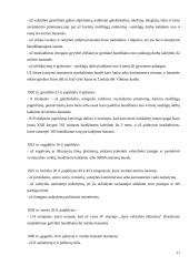 Rusijos baudžiamasis statutas Lietuvoje 11 puslapis