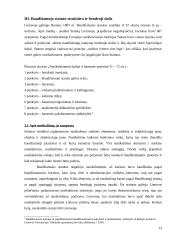 Rusijos baudžiamasis statutas Lietuvoje 13 puslapis