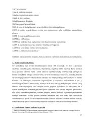 Rusijos baudžiamasis statutas Lietuvoje 17 puslapis