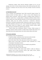 Rusijos baudžiamasis statutas Lietuvoje 19 puslapis