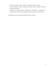 Rusijos baudžiamasis statutas Lietuvoje 4 puslapis