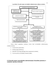 Strategijų tipai ir jų parinkimas Pasvalio rajono savivaldybės administracijos socialinės paramos ir sveikatos skyriui 16 puslapis