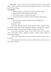 Strategijų tipai ir jų parinkimas Pasvalio rajono savivaldybės administracijos socialinės paramos ir sveikatos skyriui 4 puslapis