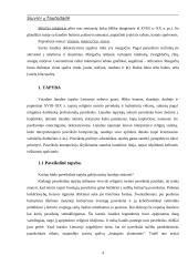 Siuvinių tautodailė 2 puslapis