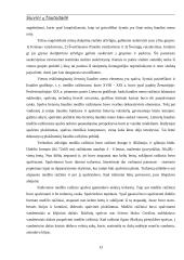 Siuvinių tautodailė 11 puslapis