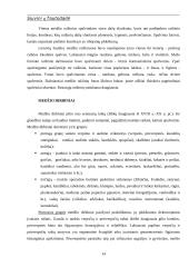 Siuvinių tautodailė 12 puslapis