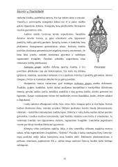 Siuvinių tautodailė 13 puslapis