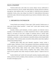 Siuvinių tautodailė 14 puslapis