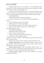 Siuvinių tautodailė 16 puslapis