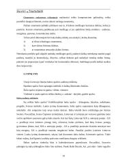 Siuvinių tautodailė 17 puslapis