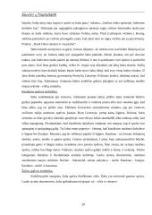 Siuvinių tautodailė 18 puslapis