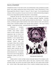 Siuvinių tautodailė 3 puslapis