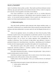 Siuvinių tautodailė 4 puslapis