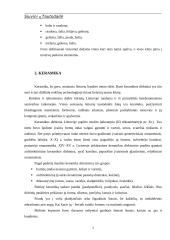 Siuvinių tautodailė 5 puslapis