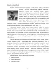 Siuvinių tautodailė 6 puslapis