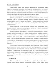 Siuvinių tautodailė 8 puslapis