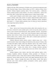 Siuvinių tautodailė 9 puslapis