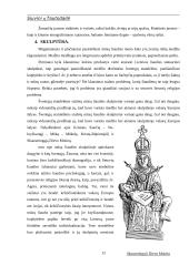 Siuvinių tautodailė 10 puslapis