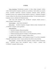 Strateginio valdymo analizė: didmeninė prekyba elektronikos produktais UAB "Vijurkas" 2 puslapis