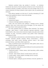 Strateginio valdymo analizė: didmeninė prekyba elektronikos produktais UAB "Vijurkas" 11 puslapis