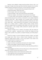 Strateginio valdymo analizė: didmeninė prekyba elektronikos produktais UAB "Vijurkas" 12 puslapis
