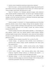 Strateginio valdymo analizė: didmeninė prekyba elektronikos produktais UAB "Vijurkas" 13 puslapis